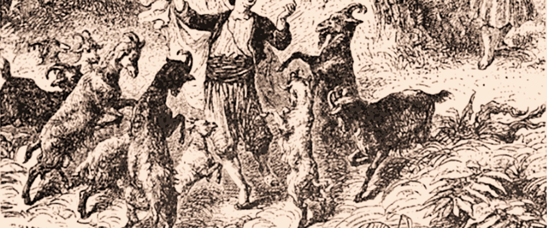 Where did coffee originate?